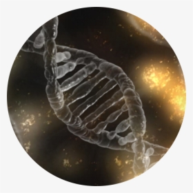 Transparent Panorama Png - Molecular Biology, Png Download, Free Download
