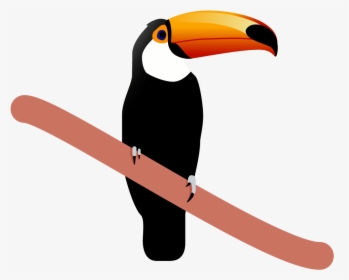 Toucan, HD Png Download, Free Download