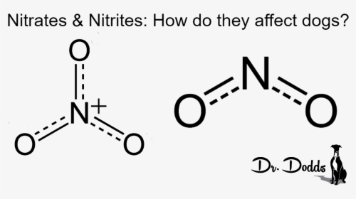Nitrates And Nitrites - Dog Training, HD Png Download, Free Download