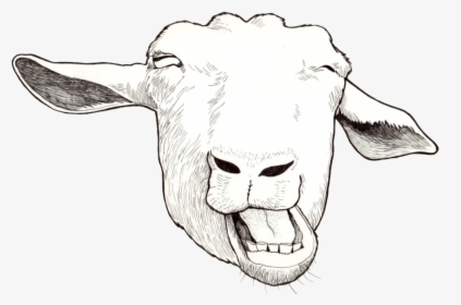 Funny Goat - Sketch, HD Png Download, Free Download