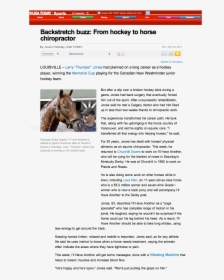 Stallion, HD Png Download, Free Download