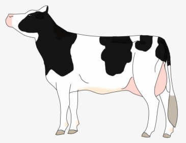 Drawing Cow Vector - Holstein Cow Cartoon, HD Png Download, Free Download