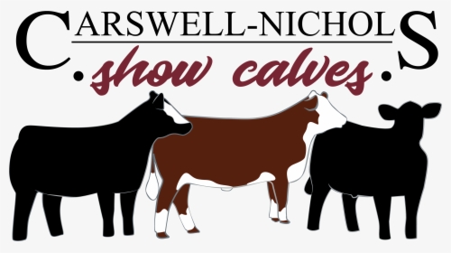Transparent Calf Clipart - Dairy Cow, HD Png Download, Free Download