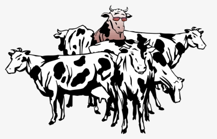 British White Cattle Beef Cattle Sheep Herd Clip Art, HD Png Download, Free Download
