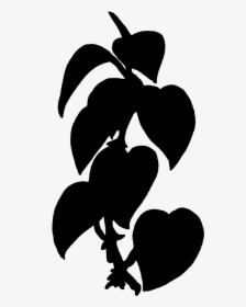 Black Ivy - Black Plants Clip Art, HD Png Download, Free Download