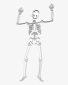 Skeleton Clip Art - Skeleton Cartoon Transparent Background, HD Png Download, Free Download