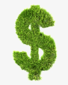 Dollar Sign Grass, HD Png Download, Free Download