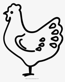 Medium Size Of Coloring Book And Pages - Rooster, HD Png Download, Free Download