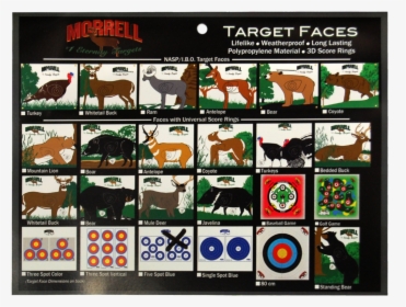 Standing Bear Polypropylene Archery Target Face - Car, HD Png Download, Free Download