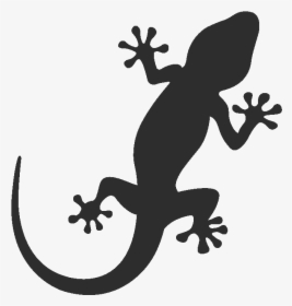 Gecko Clipart Footprint - Gecko Black And White, HD Png Download, Free Download