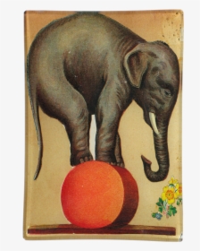 Vintage Circus Elephant, HD Png Download, Free Download
