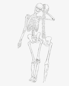 Drawing Skeleton Arm Leg - Line Art, HD Png Download, Free Download