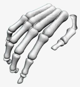 Skeleton Arm Png - Transparent Skeleton Hand Png, Png Download, Free Download