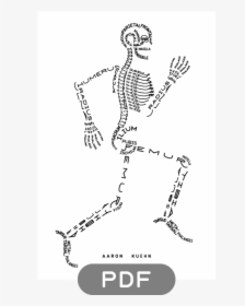 Image Of Skeleton Typogram - Aaron Kuehn Skeleton, HD Png Download, Free Download