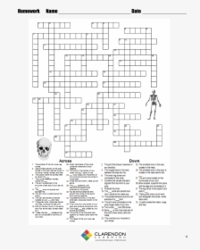 Transparent Skeleton Arm Png - Mice And Men Crossword Chapter 1, Png Download, Free Download