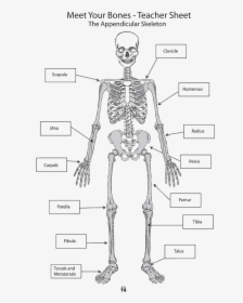 Diagram, HD Png Download, Free Download