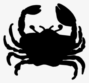 Picture - Freshwater Crab, HD Png Download, Free Download