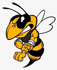 Yellow Jackets Football Logo Clipart , Png Download - Kingfisher Yellow Jackets, Transparent Png, Free Download