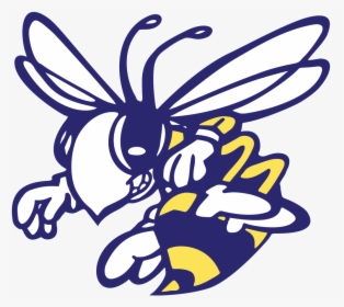 Stephenville Yellow Jacket Logo - Stephenville High School Logo, HD Png Download, Free Download