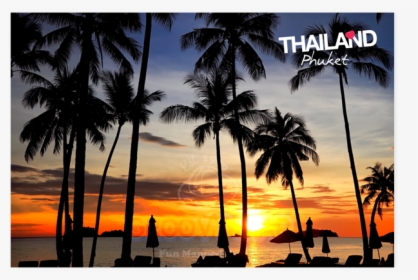 Coconut Tree And Sunset, HD Png Download, Free Download