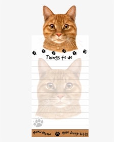 Tabby, Orange Cat - Domestic Short-haired Cat, HD Png Download, Free Download