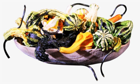 Gourds Png, Transparent Png, Free Download
