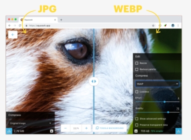 Comparison Of Jpg And Webp - Webp, HD Png Download, Free Download