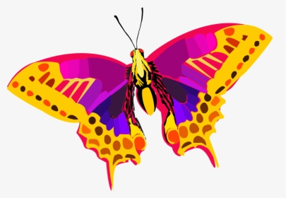 Insecto, Vector, Mariposa, Colores, Naturaleza - Butterfly Png Image Hd, Transparent Png, Free Download