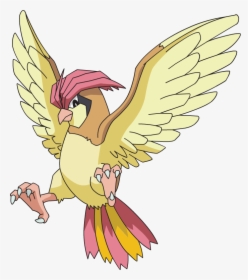 Pidgeotto Pokemon, HD Png Download, Free Download