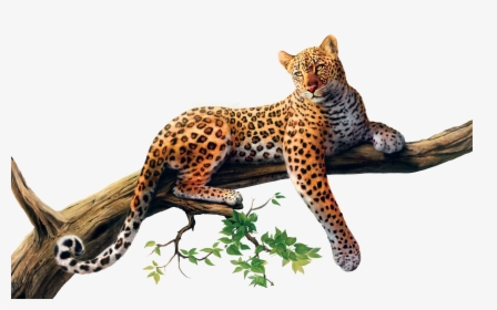 Download Jaguar Png Picture - Leopard Png, Transparent Png, Free Download