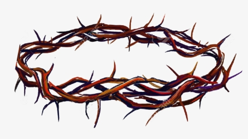 Crown Of Thorns Png Photo - Crown Of Thorns Png, Transparent Png, Free Download