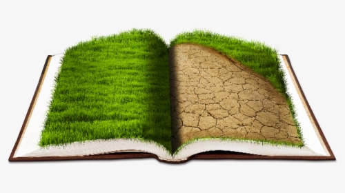 Open Book Png With Grass Texture - Open Book With Grass, Transparent Png, Free Download