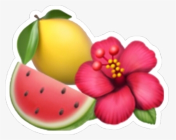 #lemon #watermelon #emoji #tumblr #tropical #iphoneemoji - Flower Emoji, HD Png Download, Free Download
