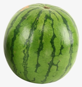 Share This Article - Watermelon Png, Transparent Png, Free Download
