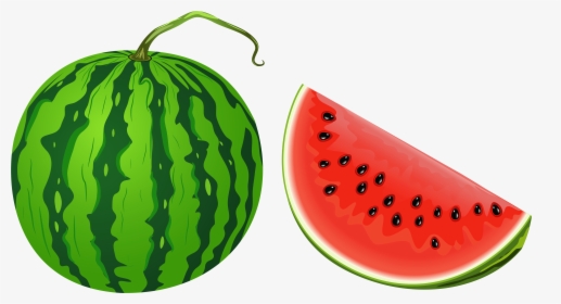 28 Collection Of Melon Clipart Png - Water Melon Clipart Png, Transparent Png, Free Download