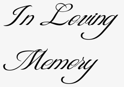 Memento Mori Back Tattoo Skull, HD Png Download, Free Download