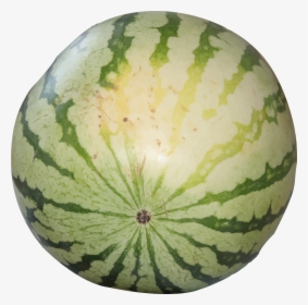 Watermelons Png, Transparent Png, Free Download