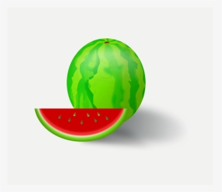 Watermelon Vector Fruit Clip Arts - Watermelon, HD Png Download, Free Download