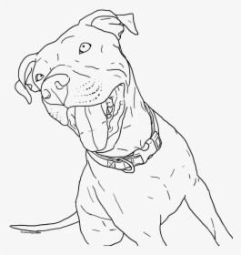 Pitbull Coloring Pages Little Coloring Page Pitbull - Realistic Pitbull Coloring Pages, HD Png Download, Free Download