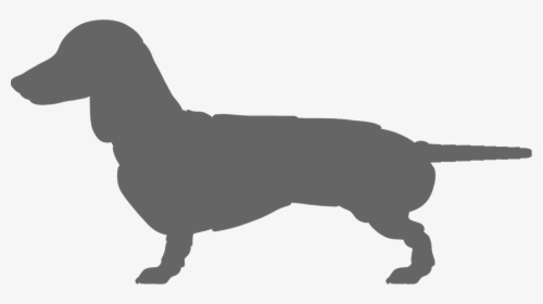 Dachshund, HD Png Download, Free Download