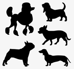 Dog Silhouettes, Small Dogs, Poodles, Beagle, Bulldog - Chihuahua Silhouette, HD Png Download, Free Download