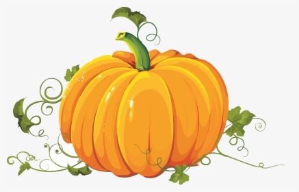 Pumpkin Collection Of Pumpkins Clipart Transparent - Transparent Background Pumpkin Clipart, HD Png Download, Free Download