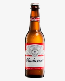 Budweiser Beer Bottle Png, Transparent Png, Free Download