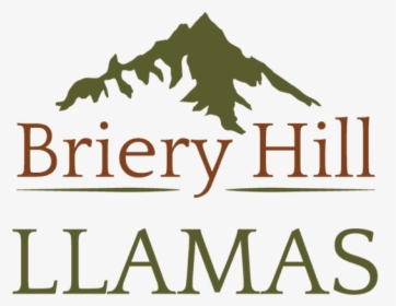 Briery Hill Llamas Logo - Briery Hill Llamas, HD Png Download, Free Download