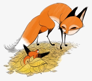 Red Fox Drawing Illustration - Drawing Red Fox, HD Png Download, Free Download