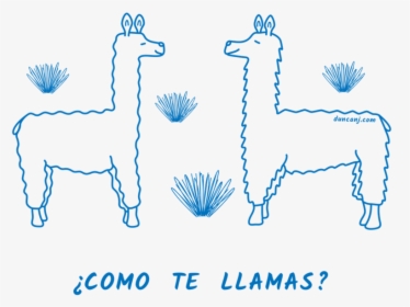 Transparent Llamas Png - Giraffe, Png Download, Free Download