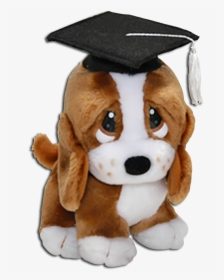 Graduation Plush Sad Sam Basset Hound Stuffed Animal  - Graduation Dog Stuffed Animal, HD Png Download, Free Download