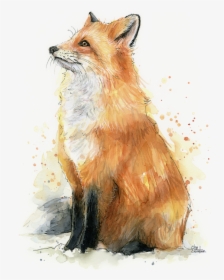 Fox Watercolor Painting, HD Png Download, Free Download
