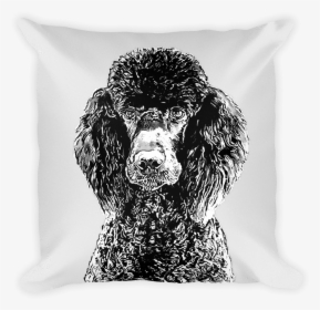 Transparent White Pillow Png - Standard Poodle, Png Download, Free Download