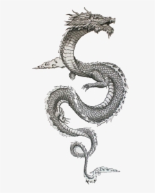 #traditional #japanese #dragon #freetoedit - Traditional Ancient Japanese Dragons, HD Png Download, Free Download